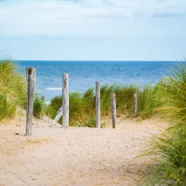 Bjergart   løsning til krydsord