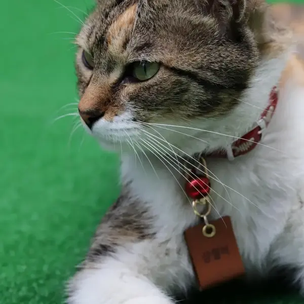 Drengenavne med V: Se de flotte navne her