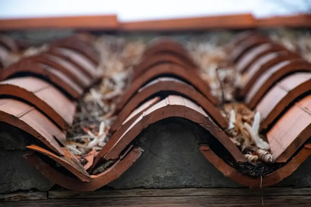 Hvad koster et tegltag? Få prisoversigt, skjulte omkostninger og smarte sparetips