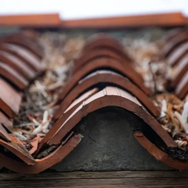 Hvad koster et tegltag? Få prisoversigt, skjulte omkostninger og smarte sparetips