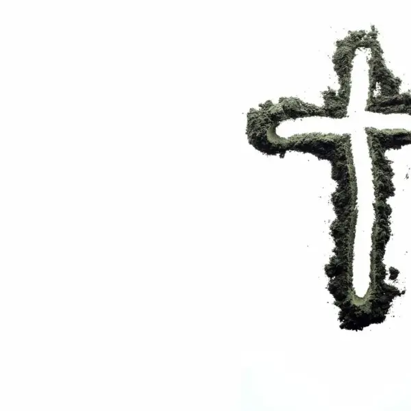 Medvirkende i Wednesday