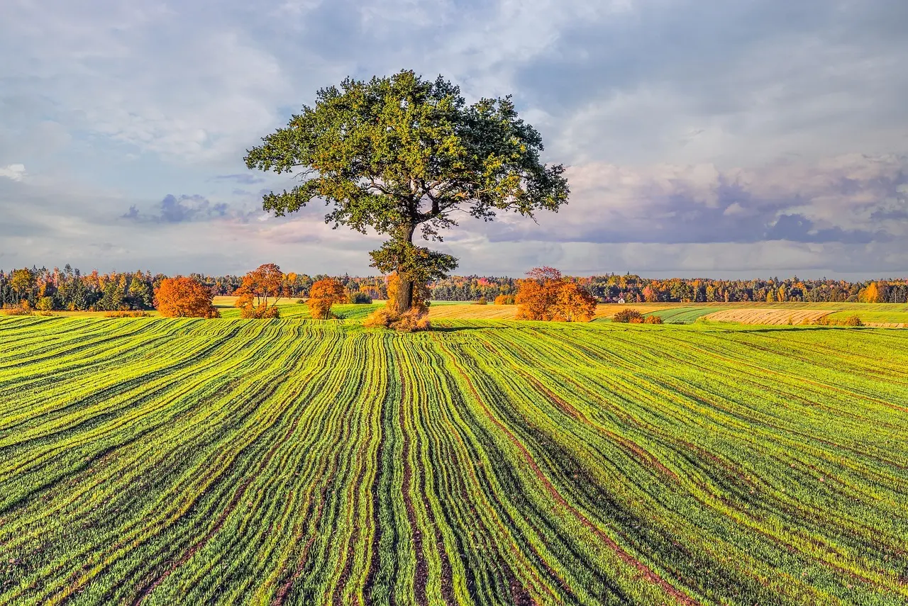 Nordisk køkkenstil med varme trænuancer og greb