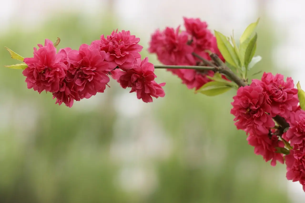 Ukendt opkald fra telefonnummer 97121344 – Blokér?
